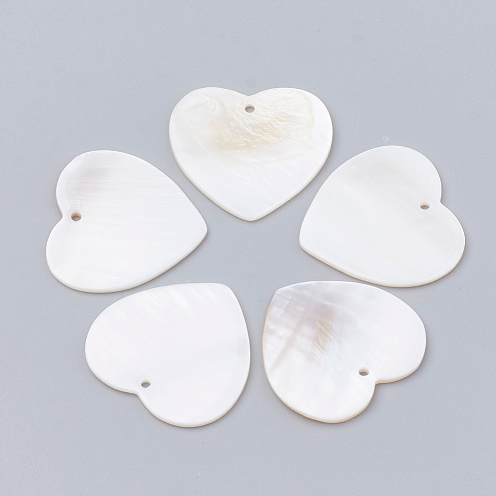 Heart Shells (M)