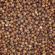 Size 10 Seed Beads - Opaque Travertine on Chalk White (BR13)