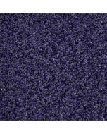 Size 10 Seed Beads - Crystal C/L Terra Intesive Purple (P13)