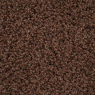 Size 10 Seed Beads - Crystal colorlined Terra Intensive Dark Brown (BR16)