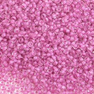 Size 10 Seed Beads - Fuchsia C/L Terra (PK22)