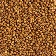 Size 11 Seed Beads - Opaque overtine on chalk white(BR11) - 25g Bag