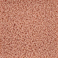 Size 11 Seed Beads - Light Orange Chalk Dyed Solgel (O07) - 25g Bag