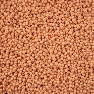 Size 11 Seed Beads - Solgel Chalk Light Brown(BR01) - 25g Bag