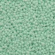Size 10 Seed Beads - Solgel Chalk Pale Mint Green  (G40)