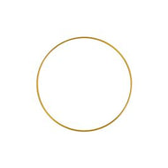 2” Metal Ring