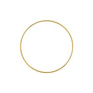 2.5” Metal Ring