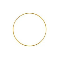 10” Metal Ring