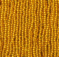 Copperlined Yellow (Y02)