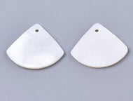 Fan Shell(2)