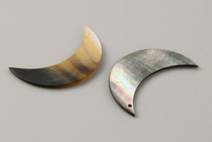 Black lip Moon Shells