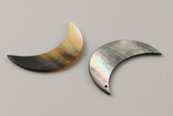 Black lip Moon Shells