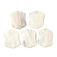 Scalloped Rectangle (2)