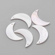 Moon Shell(2)