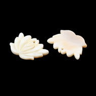 Lotus Flower (2)