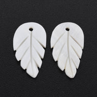 Leaf Shell(2)