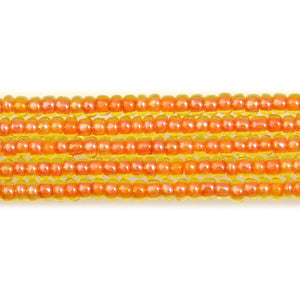 Jonquil Orange Lined (O05)