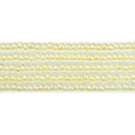 Luster Colorlined Pale Yellow (Y01)